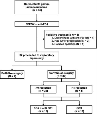 Efficacy of intra-arterial chemotherapy with sequential anti-PD-1 antibody in unresectable gastric cancer: A retrospective real-world study